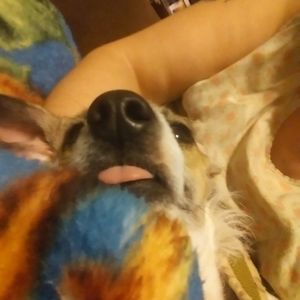 Meet your Posher, Emma